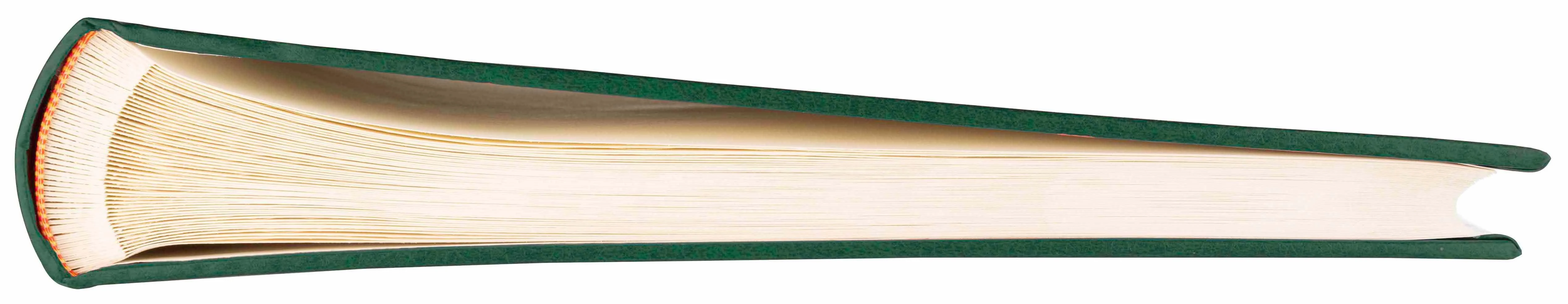 Nuotraukų rėmelis Victoria Collection Albumas B100PG Classic Kreminis, žalias