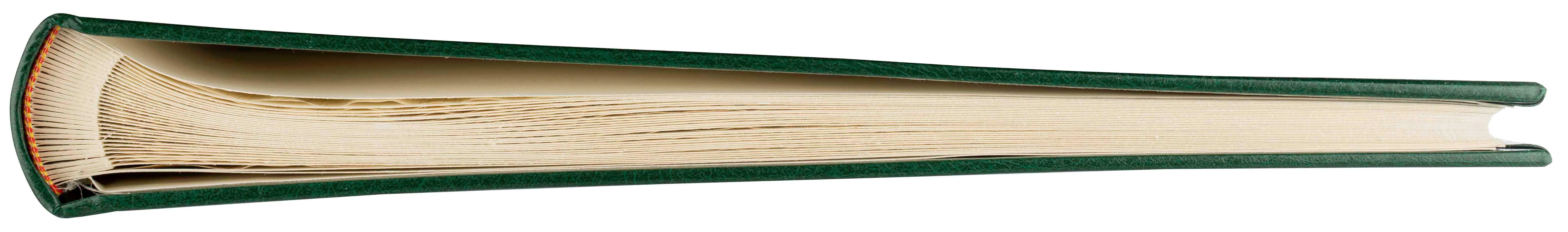 Nuotraukų rėmelis Victoria Collection Albumas B60PG Classic Kreminis, žalias