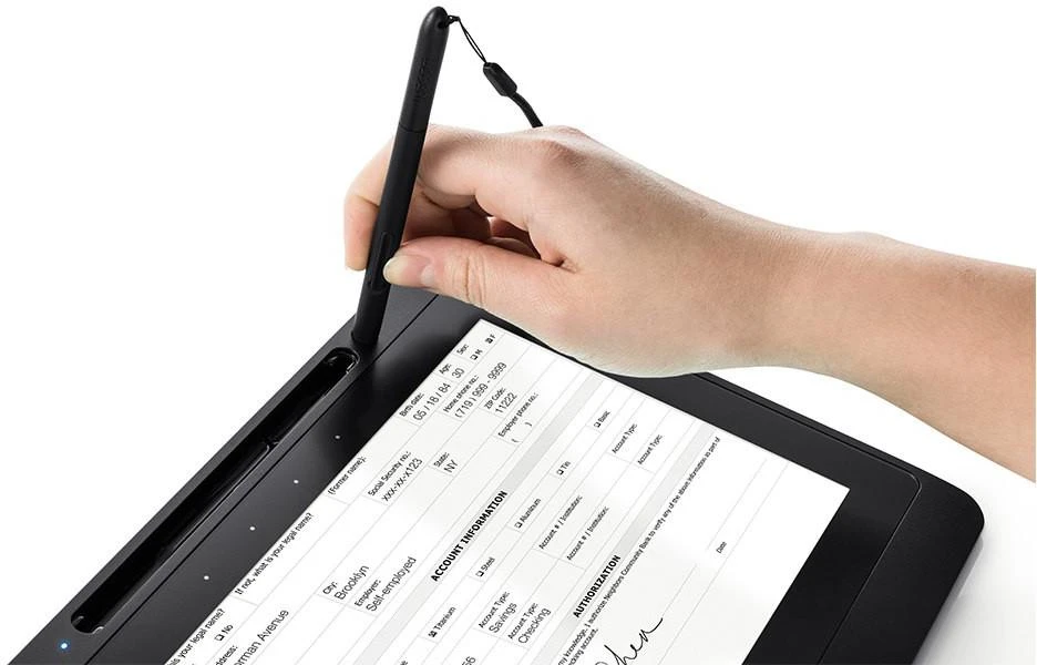 Wacom DTU1141B + Sign Pro PDF 26,9 cm (10.6″) Juoda LCD