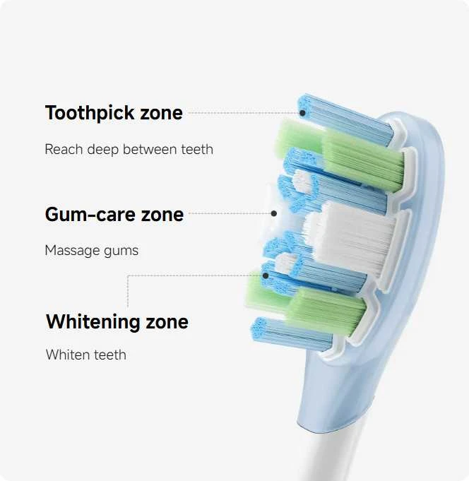 Xiaomi šepetėlio galvutė: zonų schema