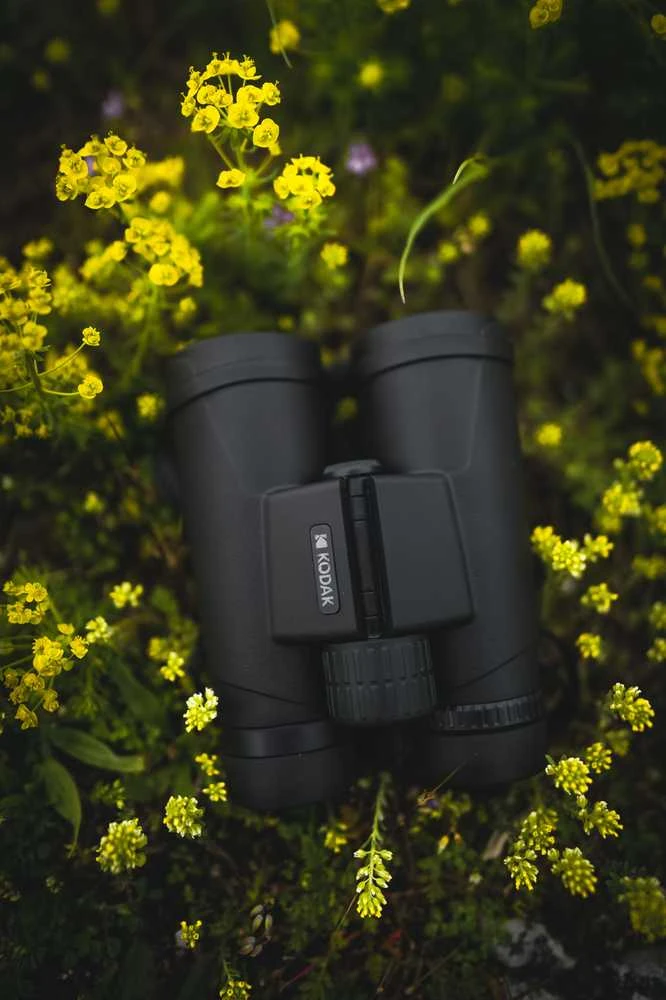 Žiūronai Kodak žiūronas BCS800 10x42 juodas