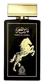 Adyan Faris Al Sahra EDP parfumuotas vanduo vyrams, 100 ml