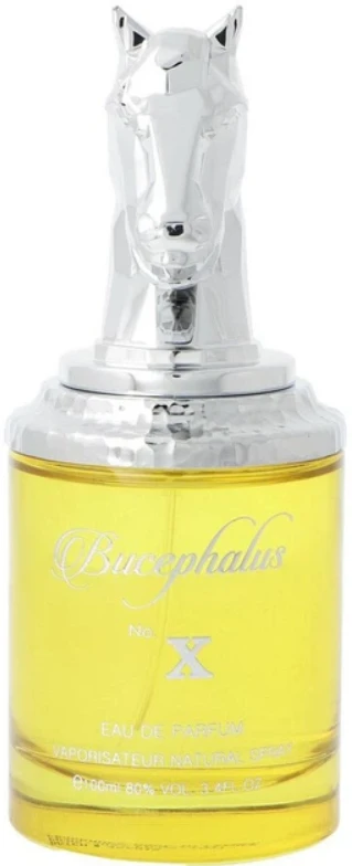 Kvepalai vyrams Armaf Niche Bucephalus No. X EDP, 100 ml