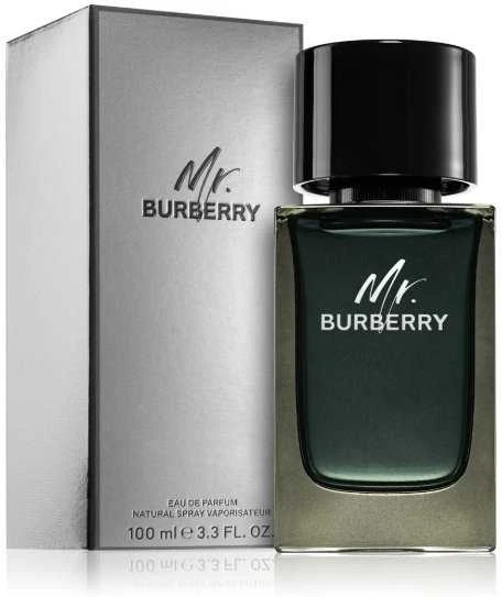 Burberry Mr. Burberry EDP parfumuotas vanduo vyrams, 100 ml