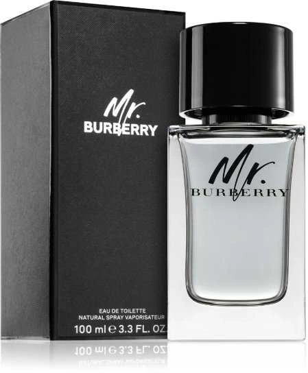 Mr Burberry EDT tualetinis vanduo unisex, 100 ml