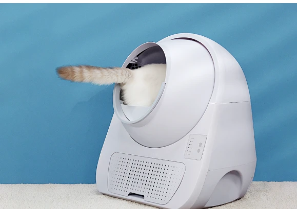 Catlink Scooper Young su kate viduje