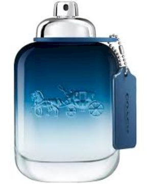 Mėlyna Coach Mėlyna EDT M 100 ml Tester