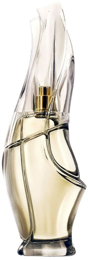 DKNY Cashmere Mist EDP parfumuotas vanduo moterims, 100 ml