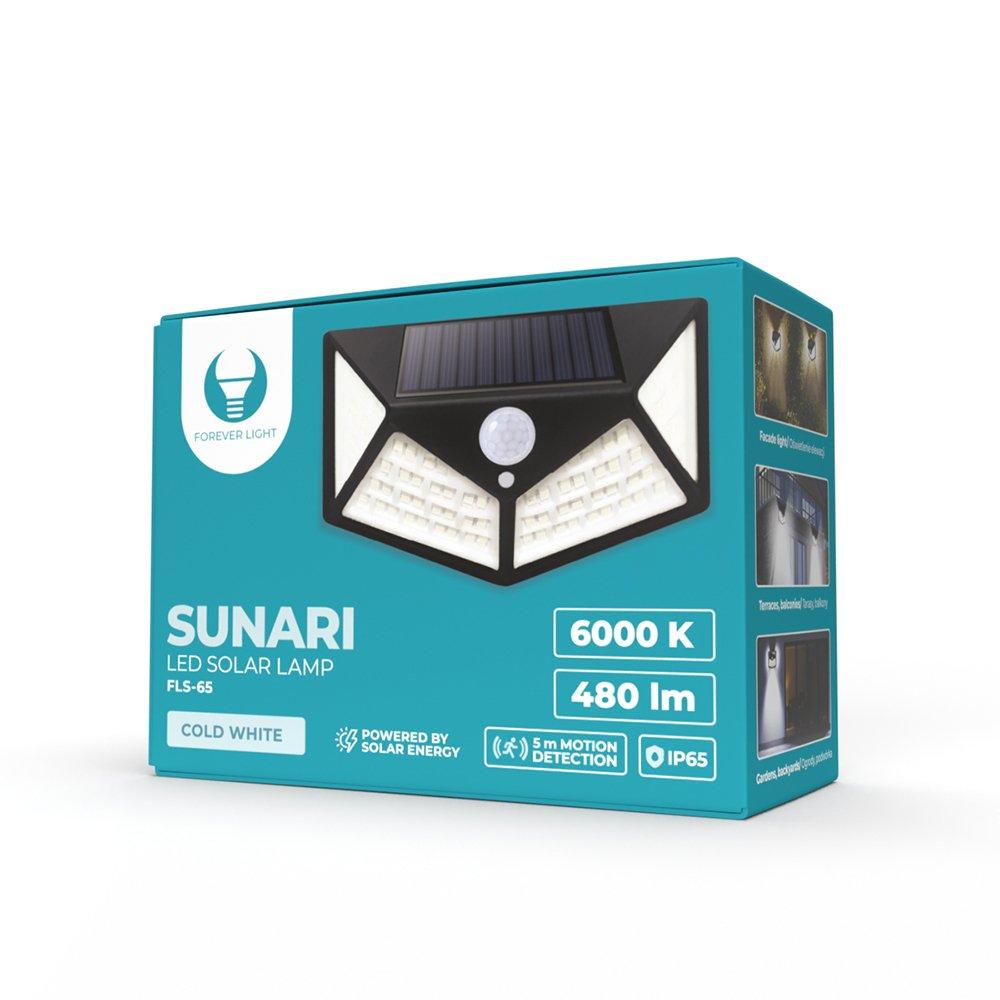 SUNARI saulės lempa LED FLS-65 100*SMD PIR 6W 480lm 6000K 1200mAh Li-Ion Forever Light