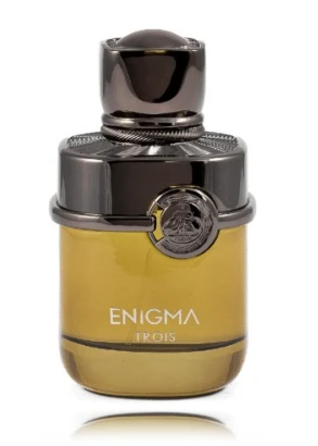 French Avenue Enigma Trois EDP parfumuotas vanduo unisex, 100 ml