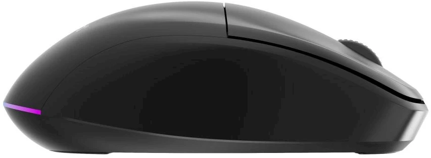 Gembird MUSW2-6B-01 Dual-mode belaidė pelė (2.4G + BT), 1600 DPI, 6-button, juodas