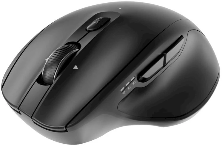 Gembird MUSW2-6B-02 Dual-mode belaidė pelė (2.4G + BT), 2400 DPI, 6-button, juodas
