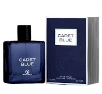 Grandeur Cadet Mėlyna EDP parfumuotas vanduo vyrams, 100 ml