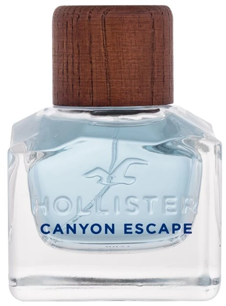 Hollister Canyon Escape For Him EDT tualetinis vanduo vyrams, 50 ml