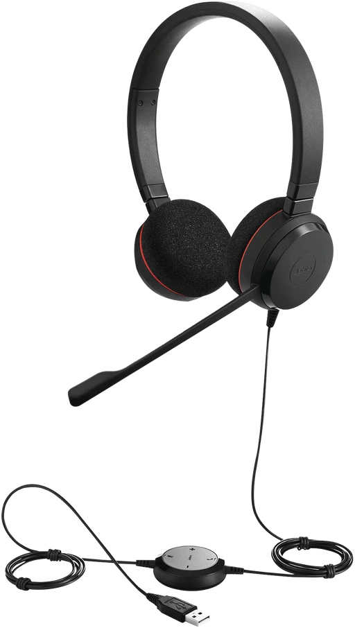 JABRA Evolve 20 USB C/A MS Stereo ausinės