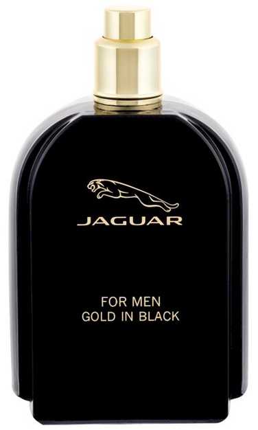 Kvepalai vyrams Jaguar For Men EDT, 100 ml