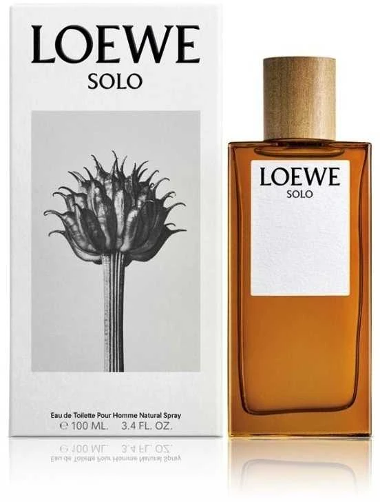 Moschino Loewe Solo Loewe Pour Homme EDT tualetinis vanduo vyrams, 100 ml