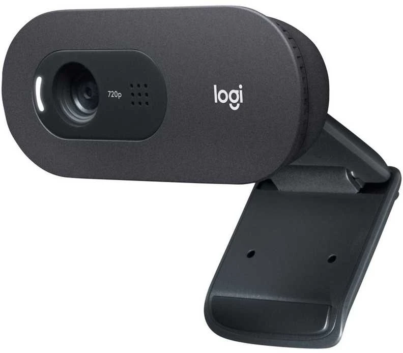 Logitech C505e HD Business Webcam
