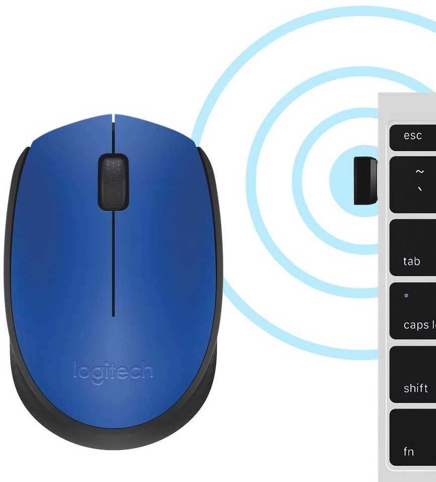 Belaidė pelė Logitech M171, mėlyna