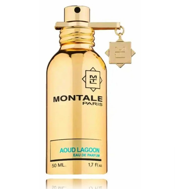 Montale Paris Montale Aoud Lagoon EDP parfumuotas vanduo unisex, 50 ml