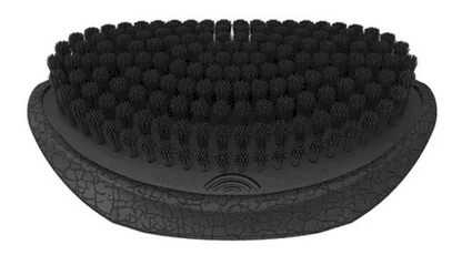 Olivia Garden Barber Palm Wave