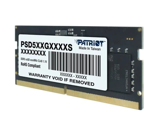 RAM Patriot Memory Signature PSD532G48002S atminties modulis 32 GB 1 x 32 GB DDR5 4800 MHz