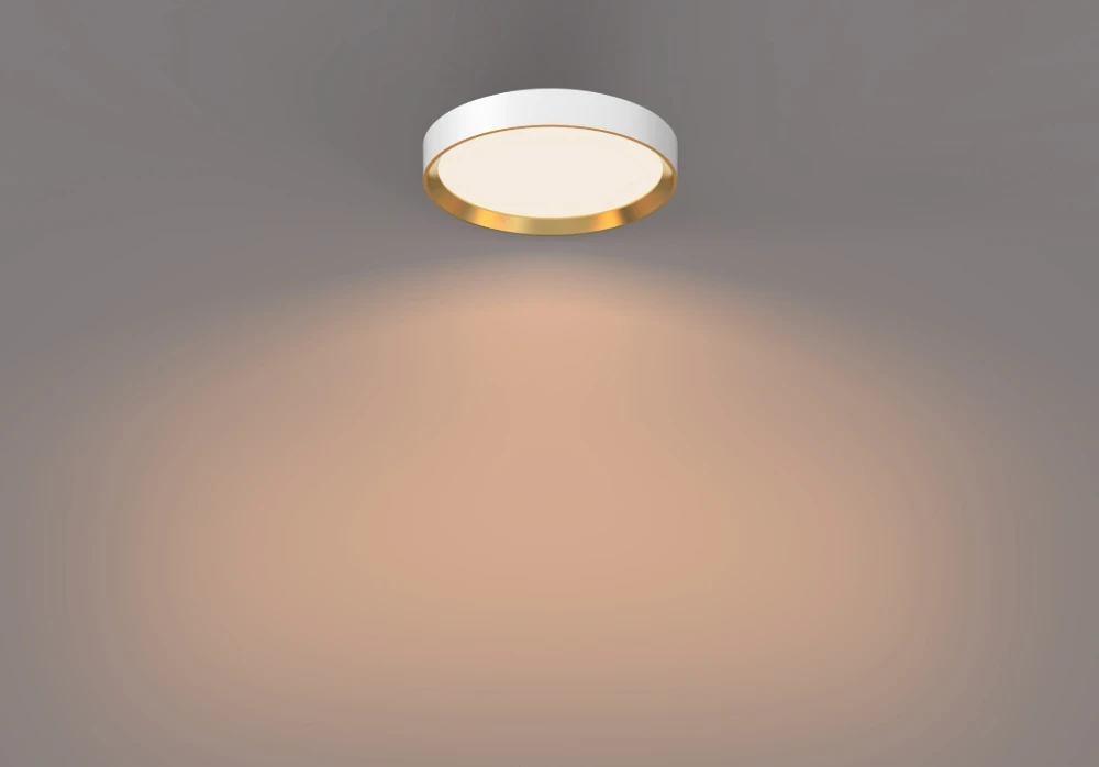 Lubinis šviestuvas Šviestuvas lubų Philips 929004116001, 24 W, LED, 2700 °K