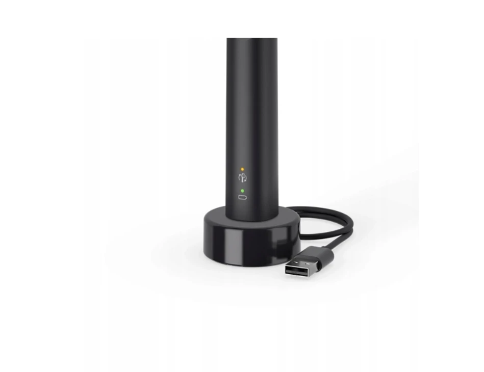 Philips Sonicare 3100 įkrovimo stotelė ir korpusas