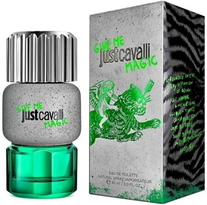 Roberto Cavalli RC Just Cavalli Gmm For Him EDT kvepalai vyrams, 90 ml