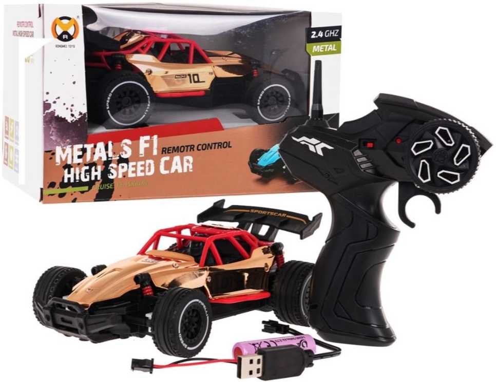 RoGer RACING 01 RC didelio greičio metalinis automobilis 1:20