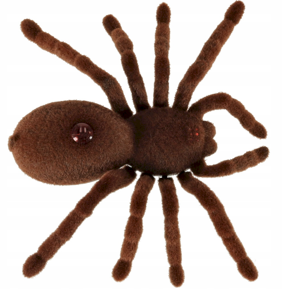 KIK Nuotoliniu būdu valdomas TARANTULA voras + PILOTAS