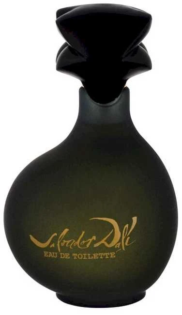 Salvador Dali Pour Homme EDT tualetinis vanduo vyrams, 100 ml