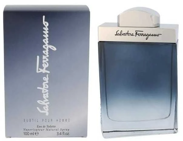 Salvatore Ferragamo Subtil Pour Homme EDT tualetinis vanduo vyrams, 100 ml
