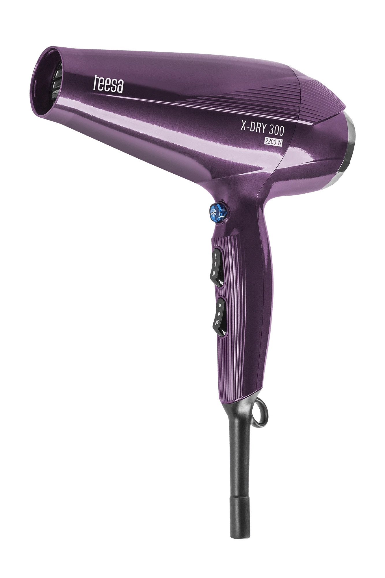Teesa X-DRY 300 2200W plaukų džiovintuvas