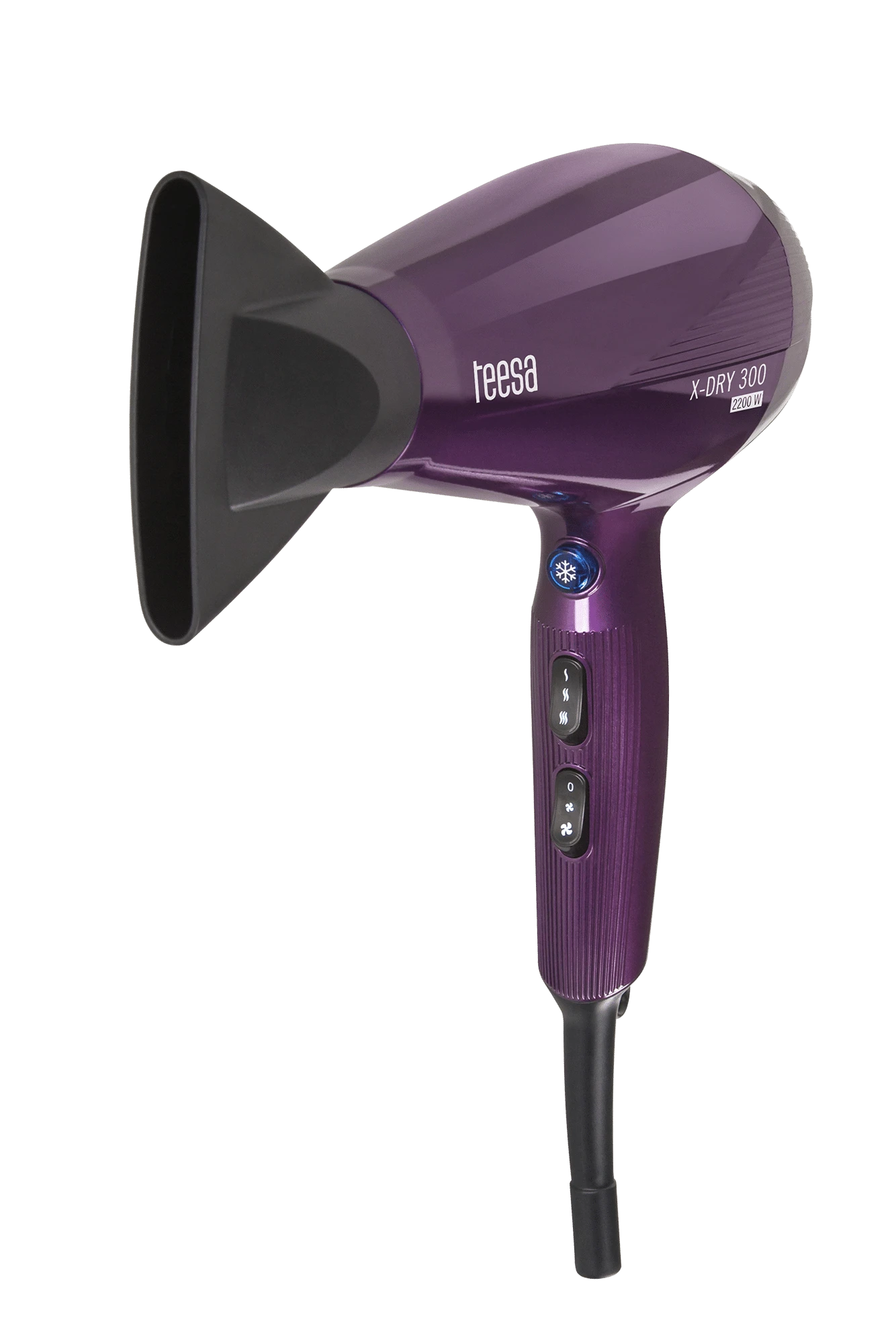Teesa X-DRY 300 2200W plaukų džiovintuvas