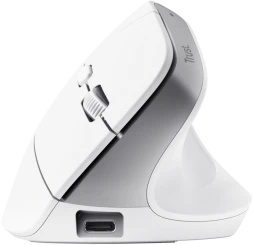 Trust Bayo+ pelė Office dešinei rankai RF belaidė + Bluetooth Optinė 2400 DPI
