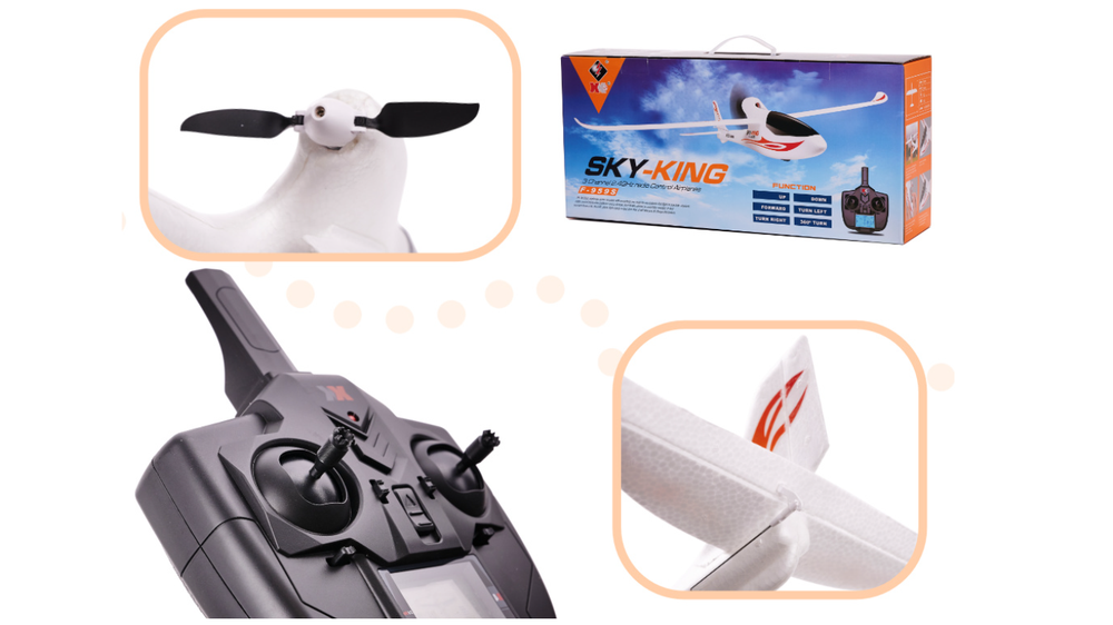 WLtoys Sky King F959S 2.4GHz RC lėktuvas