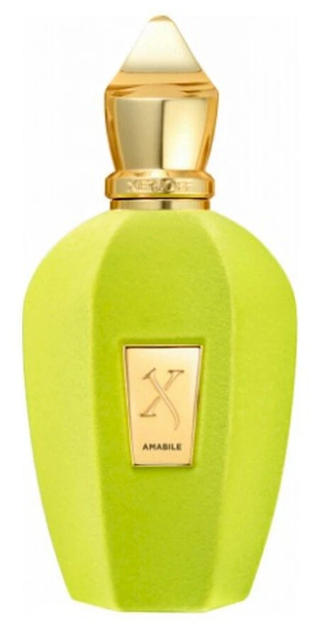 Xerjoff Amabile EDP parfumuotas vanduo unisex, 100 ml