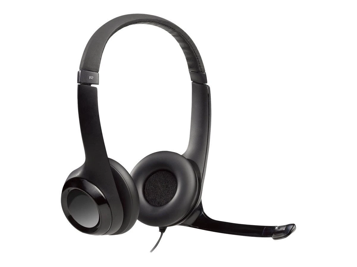Universalios ausinės Logitech H390, su mikrofonu, USB jungtis