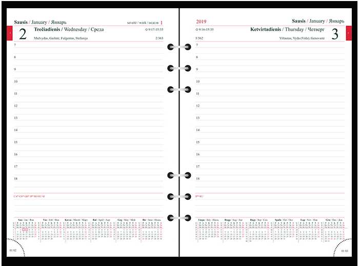 Timer Kalendorius MAXI organizer 2027 A5, oda