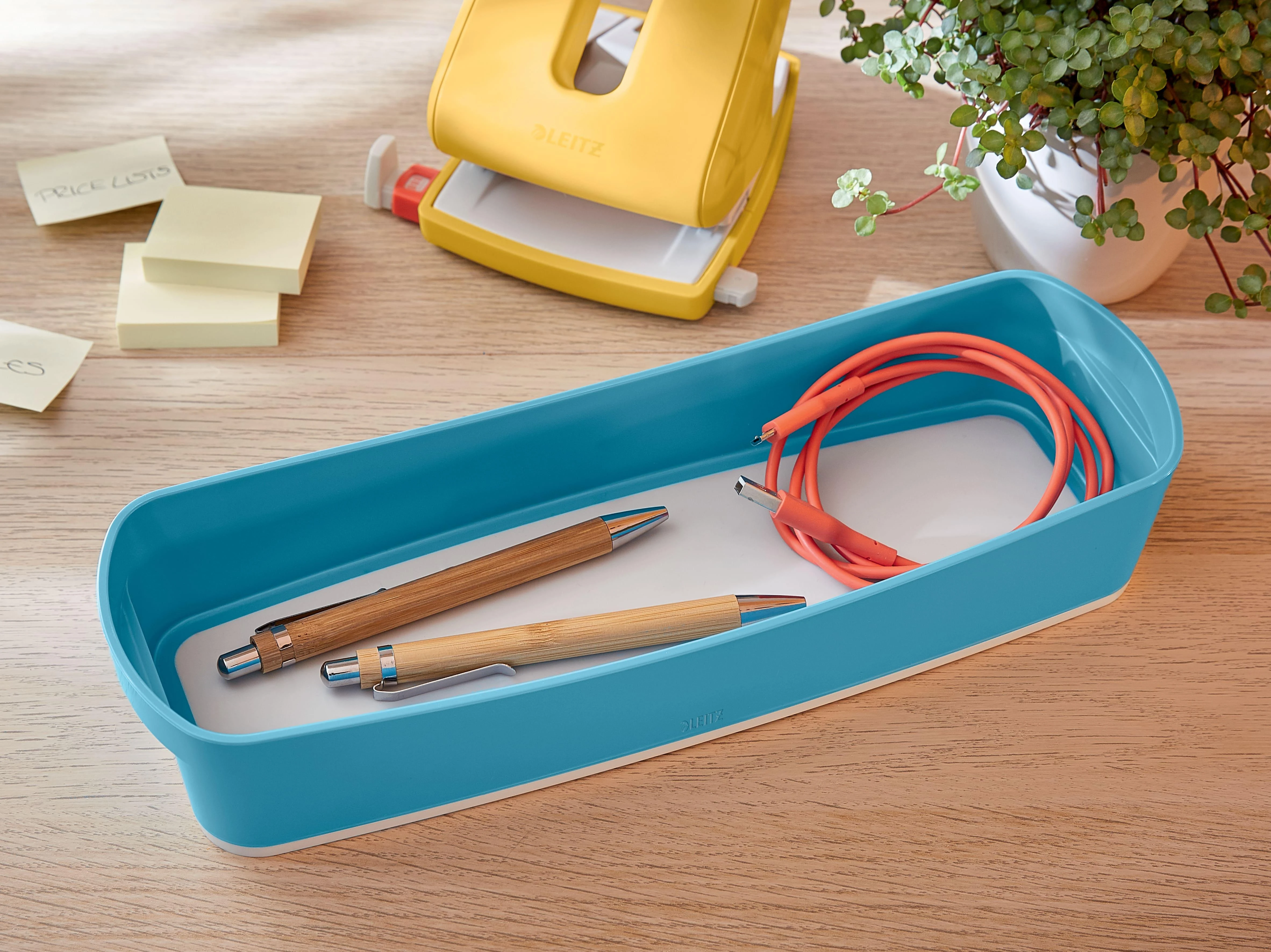 Leitz Daiktadėžė Cosy L:MyBox, pailga, mėlynos sp.