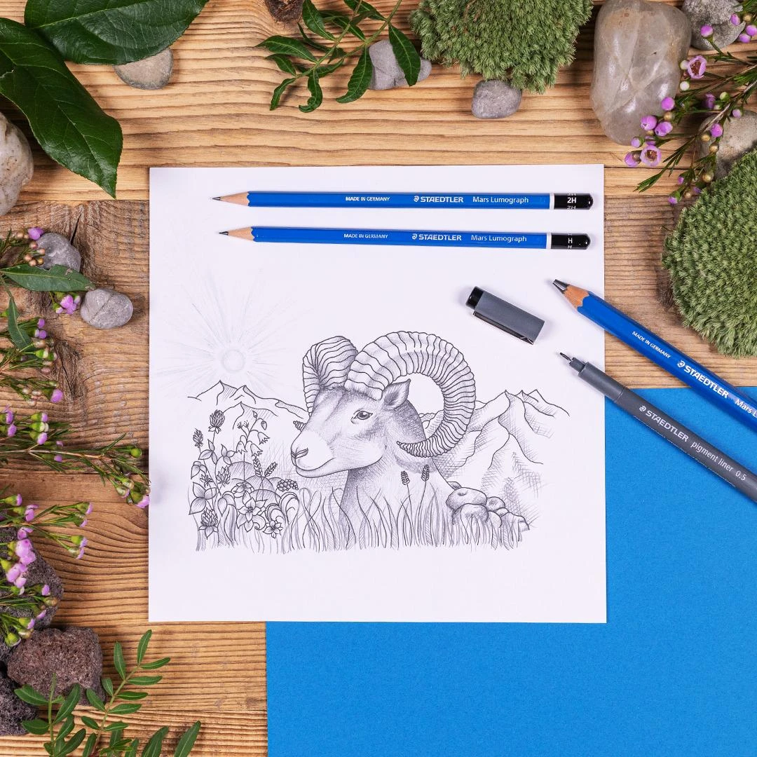 Piešimo rinkinys STAEDTLER Mars 100