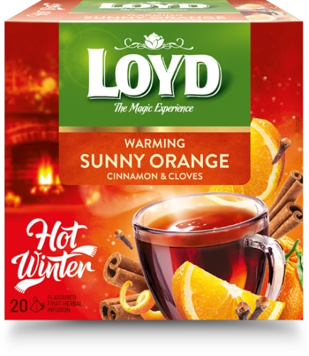 LOYD apelsinų ir cinamono arbata, pakuotė