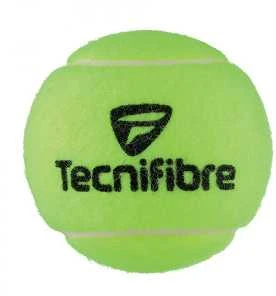 TECNIFIBRE CHAMPION (4) teniso kamuoliukai