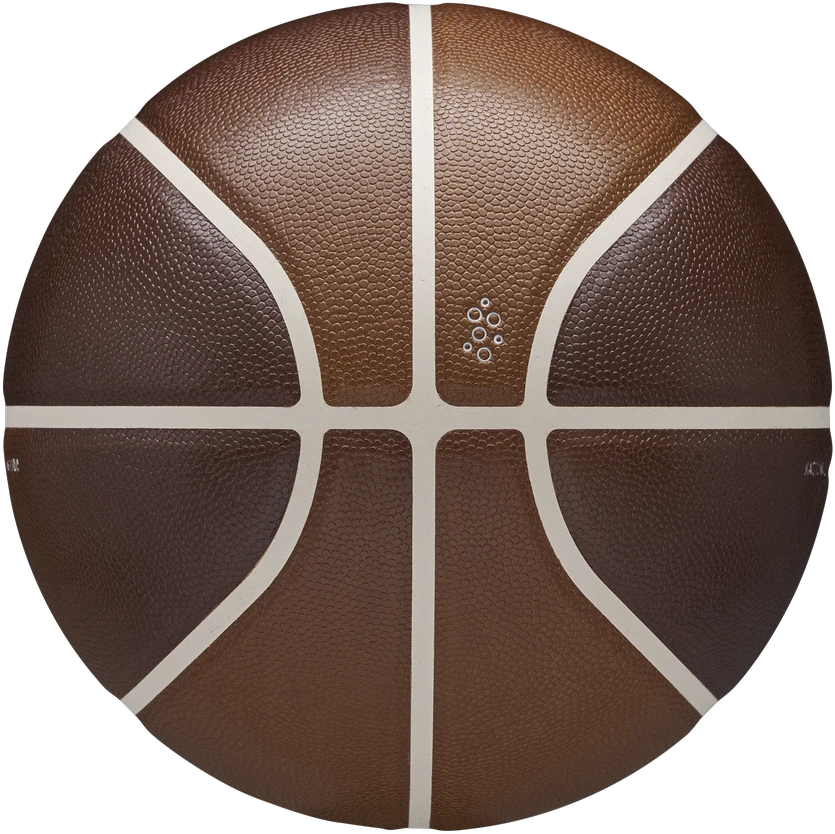 WILSON NBA CHAMPAGNE SERIES 1 CELEBRATION krepšinio kamuolys