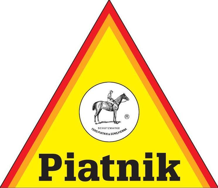 Piatnik Žaidimas „Greitasis domino“