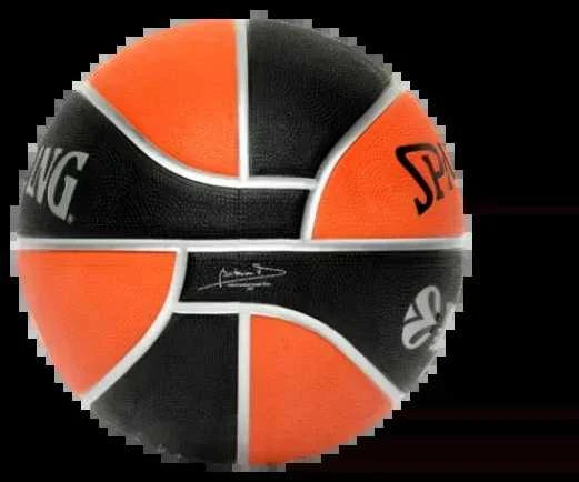 Krepšinio kamuolys SPALDING EUROLEAGUE VARSITY TF150™ 5 Dydis
