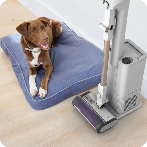 Dulkių siurblys-šluota Shark Detect Clean & Empty Pet IW3612EUT