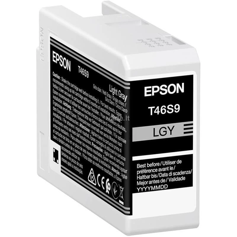 EPSON Singlepack Light Pilkas T46S9 UltraChrome Pro 10 rašalas, 26 ml