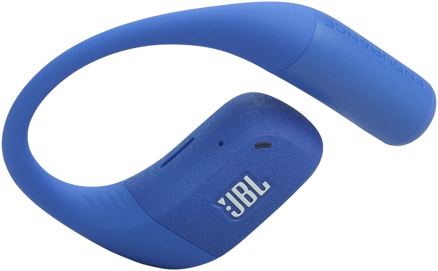 Ausinės JBL Endurance Zone, mėlynos